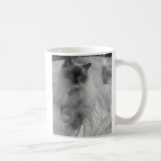 Ragdoll Tasse