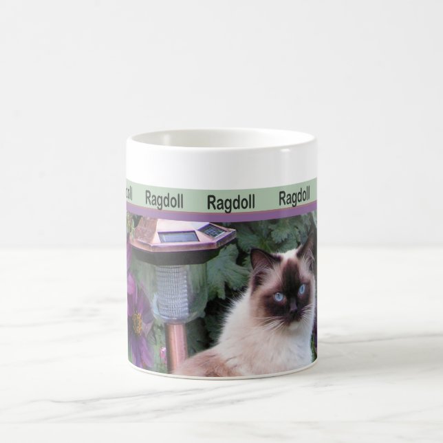 Ragdoll Tassen (Mittel)
