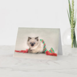 Ragdoll Weihnachtskarte Feiertagskarte