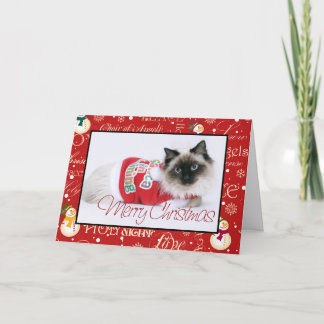 Ragdoll Weihnachtskarte Feiertagskarte