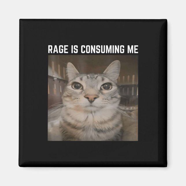 Rage konsumiert mich Meme Cat Meme merkwürdig spez Magnet (Vorne)
