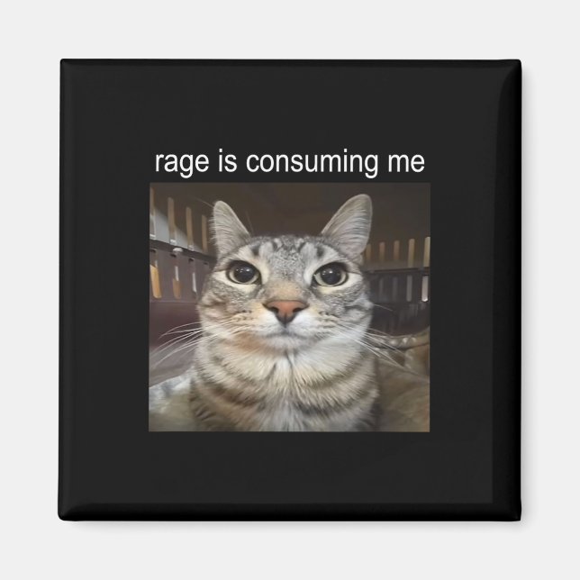 Rage verzehrt mich Albern, wenn ich Cat Meme stehe Magnet (Vorne)