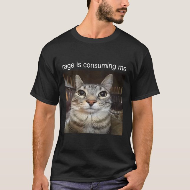 Rage verzehrt mich Albern, wenn ich Cat Meme stehe T-Shirt (Vorderseite)