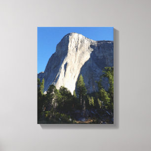 Ragender El Capitan Yosemite National Park CA Leinwanddruck