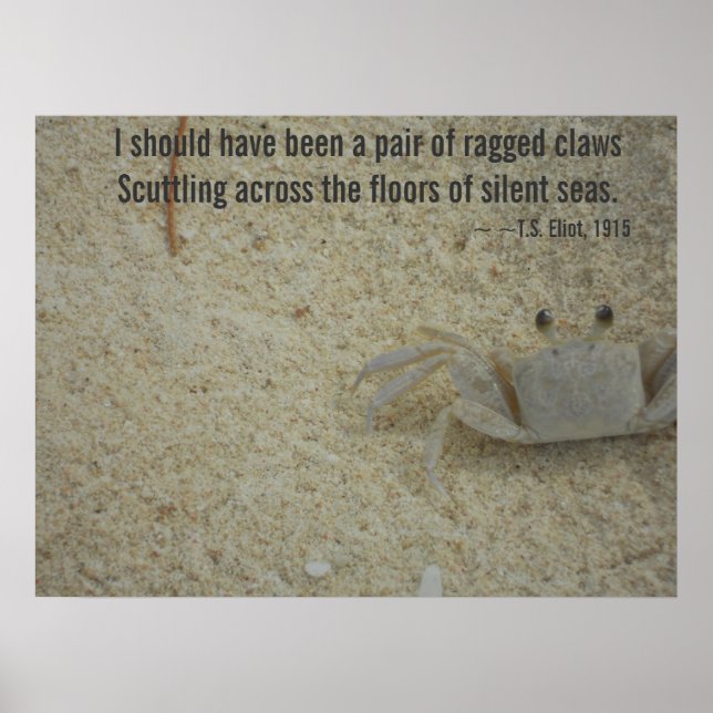 Ragged Crab Claws Poem Poster (Vorne)