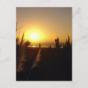Raglan Sunset Postkarte