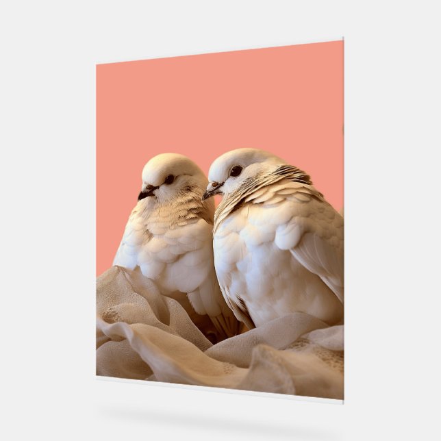 rahmen acrylschild (Winkel)