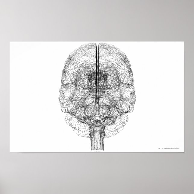 Rahmen des Gehirns Poster (Vorne)