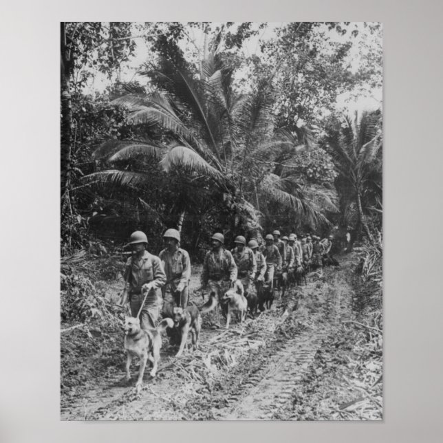 Raiders Poster (Vorne)