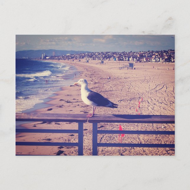 Rail-Vogel Postkarte (Vorderseite)