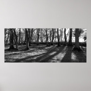 Railway Trees Poster