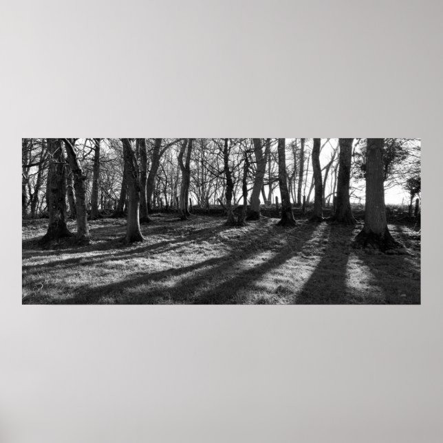 Railway Trees Poster (Vorne)