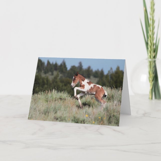 Rain Dance Grußkarte Karte (Vorderseite)