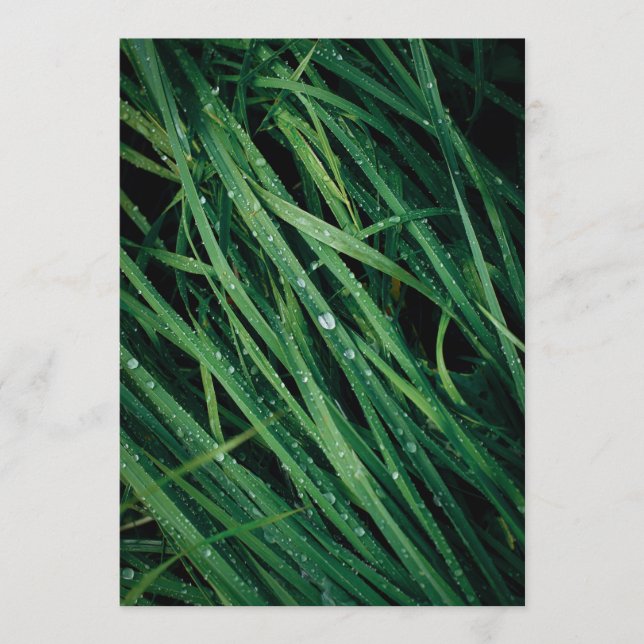 Rain drops on grass, Earth Day Card (Vorderseite)