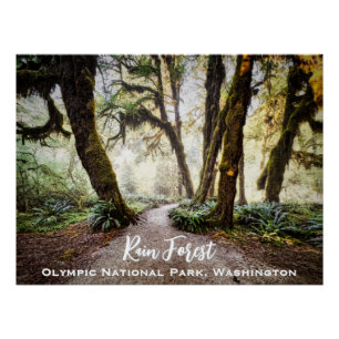 Rain Forest ・ Olympic National Park, Washington Poster