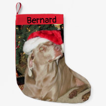 Rain Niedlich Weimaraner Hund - Personalisiert