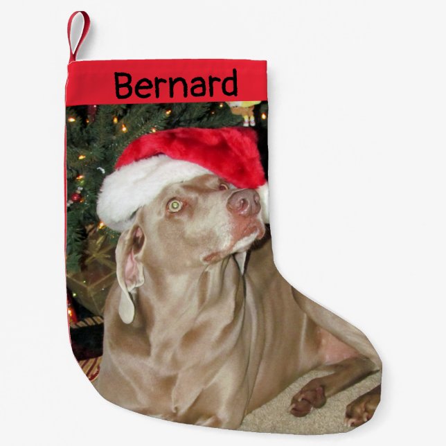 Rain Niedlich Weimaraner Hund - Personalisiert Kleiner Weihnachtsstrumpf (Vorderseite)
