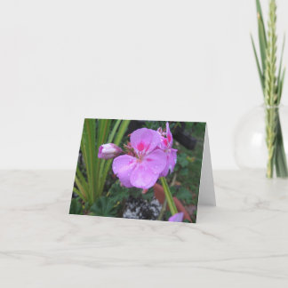 Rain - Notecard einführen Karte