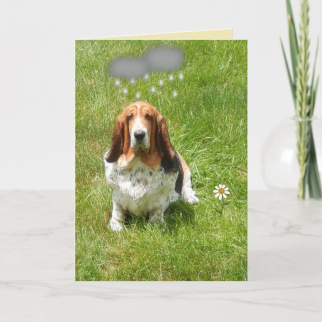 Rain On Funny Birthday Card W/Basset Hound Karte (Vorderseite)