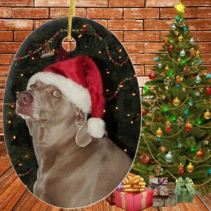 Rain the Weimaraner - ein Weihnachtsschmuck