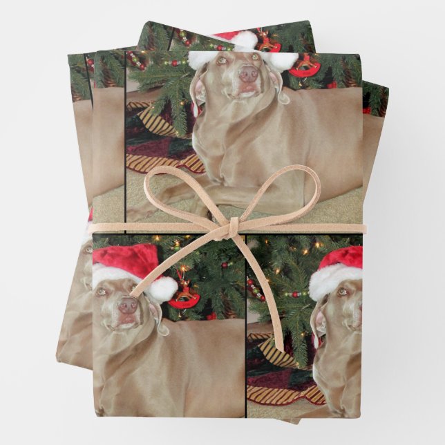 Rain the Weimaraner Hunde Weihnachtswrapping Papie Geschenkpapier Set (Beispiel)