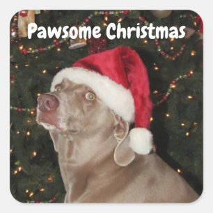 Rain the Weimaraner Santa Paws Stickers