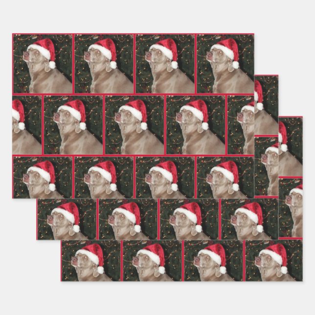 Rain the Weimaraner - Weihnachtswrapping Paper Geschenkpapier Set (Set)