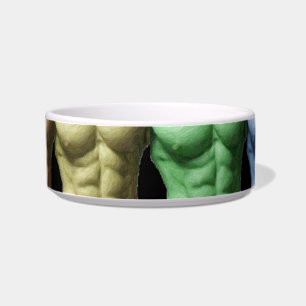 Rainbow Abs Pet Bowl Napf