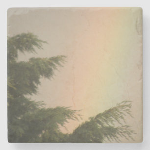 Rainbow and Trees Untersetzer