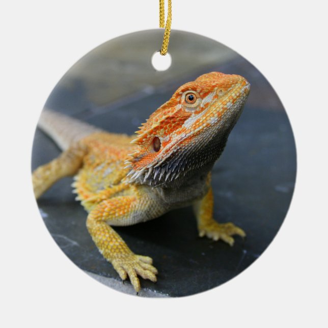 Rainbow Bearded Dragon Keramik Ornament (Vorne)