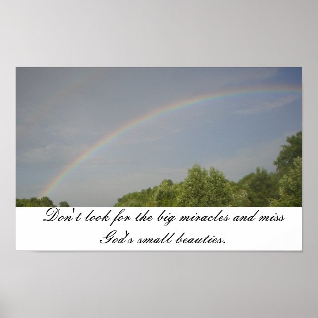 Rainbow Beauties Poster (Vorne)