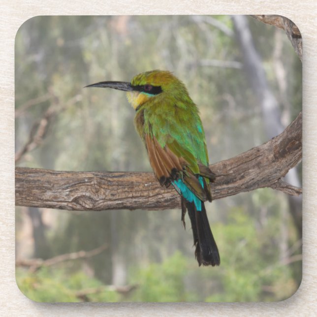 Rainbow-Bienenfresser, Australien Getränkeuntersetzer (Vorderseite)