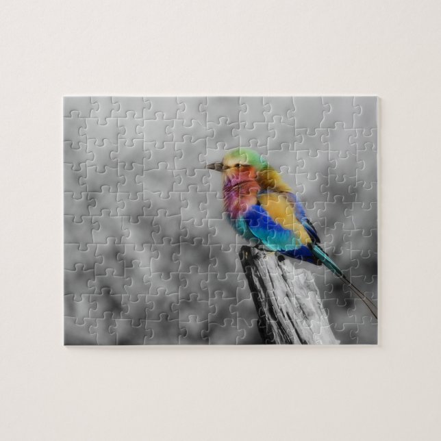 Rainbow Bird (Horizontal)