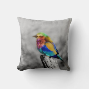Rainbow Bird Kissen