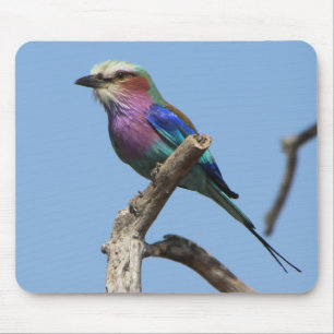 Rainbow Bird Mouse Pad Mousepad
