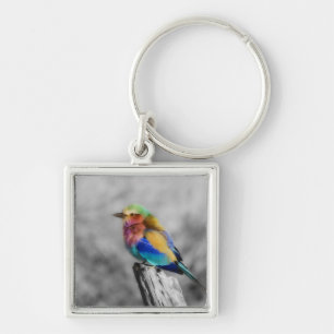 Rainbow Bird Schlüsselanhänger