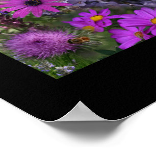 Rainbow Blume FotoCollage Poster