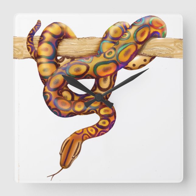 Rainbow Boa Snake Wall Clock Quadratische Wanduhr (Vorderseite)