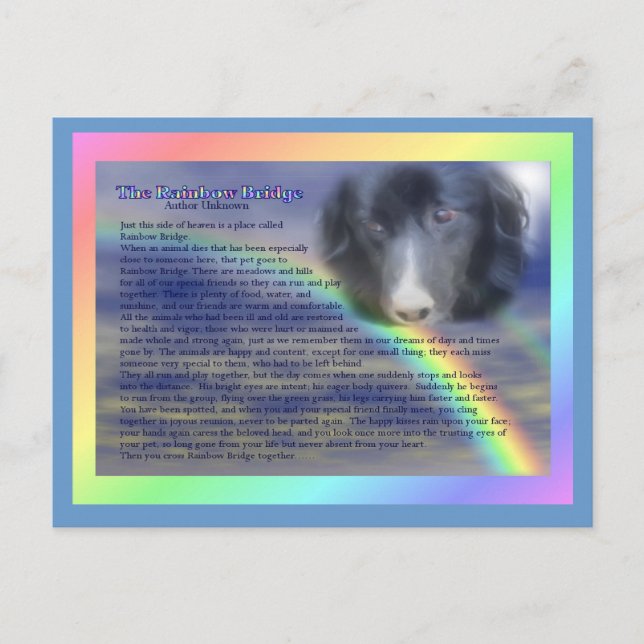 Rainbow Bridge Gedicht Pet Loss Beileid Postkarte (Vorderseite)