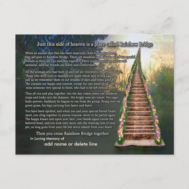 Rainbow Bridge Gedicht Sympathy Card Postkarte (Vorderseite)
