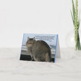 Rainbow Bridge - Katzen Gedicht Beileid Karte