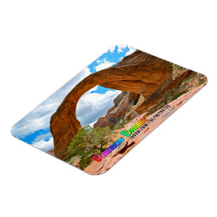 Rainbow Bridge Magnet