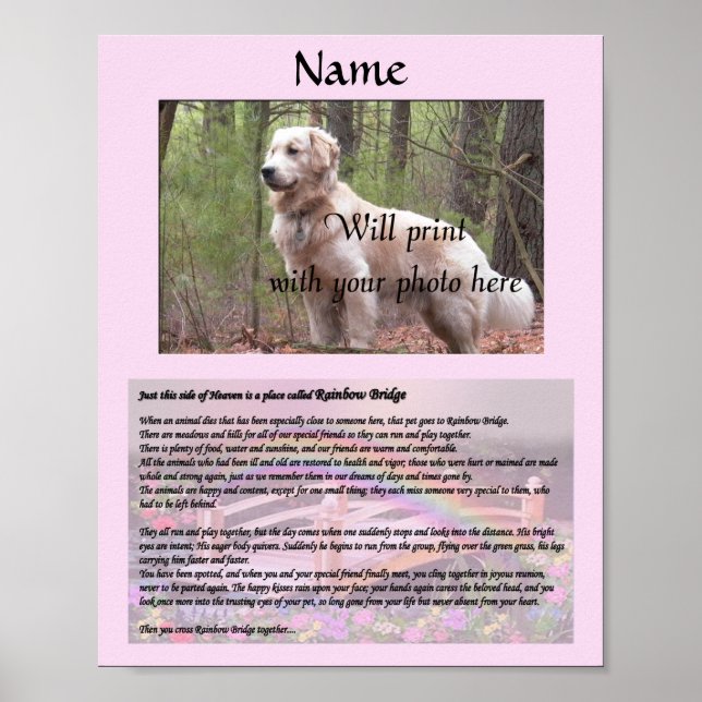 Rainbow Bridge Pet Memorial Pink Poster (Vorne)