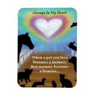 Rainbow Bridge Pets Magnet