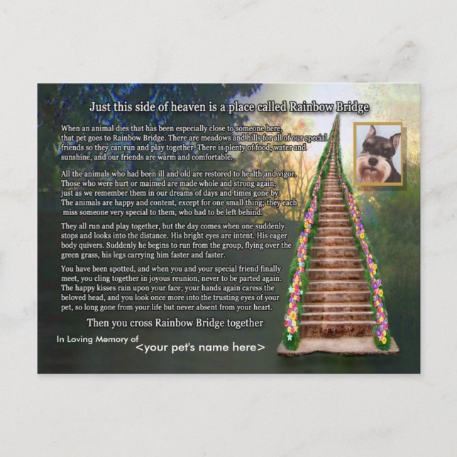 Rainbow Bridge Poem Pet Loss Sympathie Karte (Vorderseite)