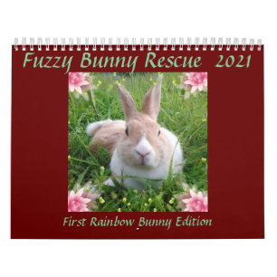 Rainbow Bunny Memorial Kalender 2021