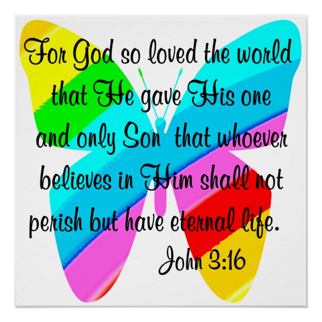 RAINBOW BUTTERFLY JOHN 3:16 DESIGN POSTER (Vorderseite)