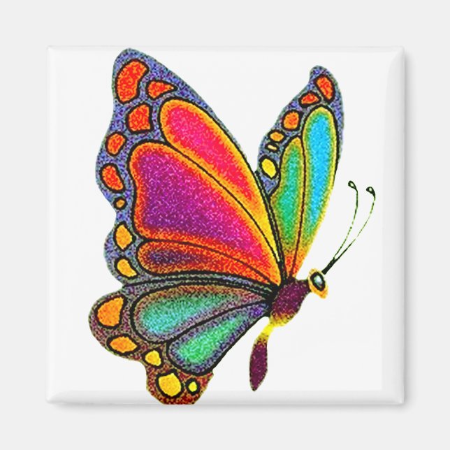 Rainbow Butterfly Magnet (Vorne)