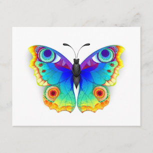 Rainbow Butterfly Peacock Eye Begleitkarte