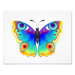 Rainbow Butterfly Peacock Eye Fotodruck